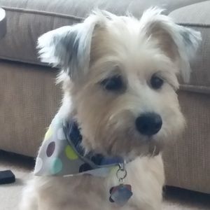 Meet your Posher, Monica